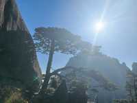 登頂黃山·邂逅流動的山水畫卷