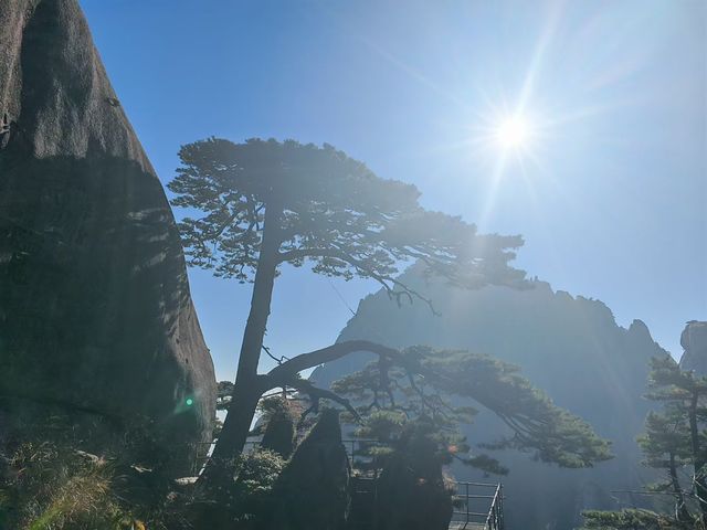 登頂黃山·邂逅流動的山水畫卷 登頂黃山·邂逅流動的山水畫卷