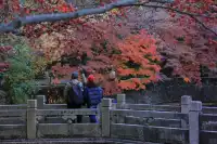 12.3|虞山紅楓進度99% (附路線圖