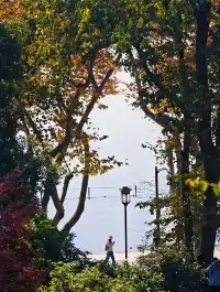 杭州紅楓反向線|3h拍爆西湖秋景~