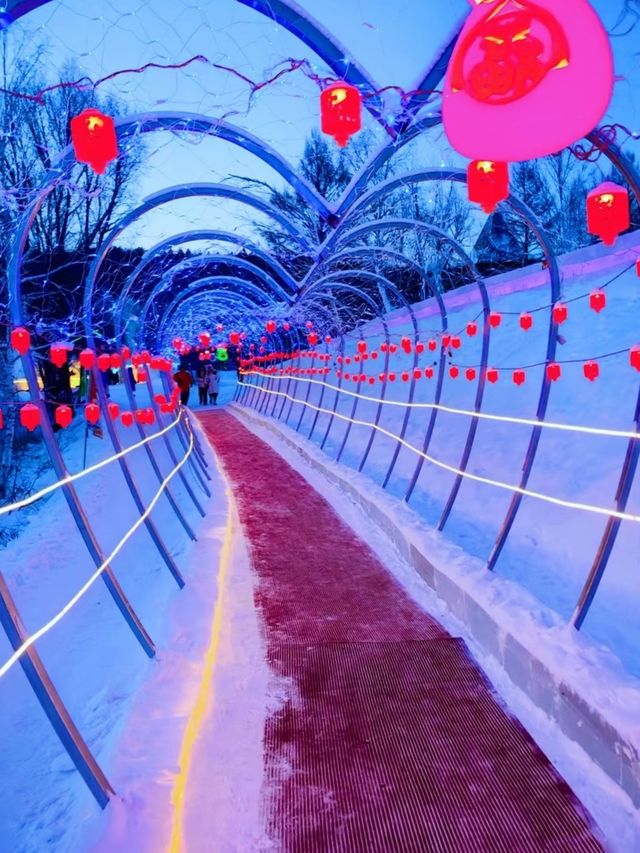 中國最北漠河超全攻略|極光+潑水成冰+馴鹿!3-7日路線 中國最北漠河超全攻略|極光+潑水成冰+馴鹿!3-7日路線