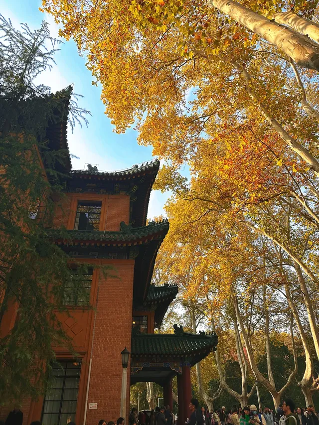 賞秋最美南京|鐘山風景區一天遊 賞秋最美南京|鐘山風景區一天遊