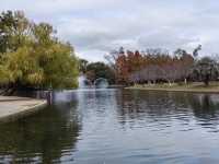 初冬暖陽下的多彩上海共青森林公園