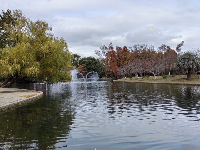 初冬暖陽下的多彩上海共青森林公園 初冬暖陽下的多彩上海共青森林公園