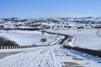 冬天看雪我還是決定去烏蘭布統...