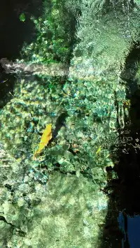 傳說中的“琉璃海”，我在濟南找到了！