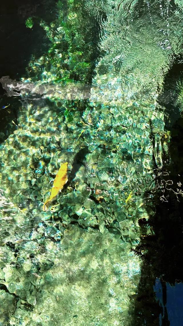 傳說中的“琉璃海”，我在濟南找到了！