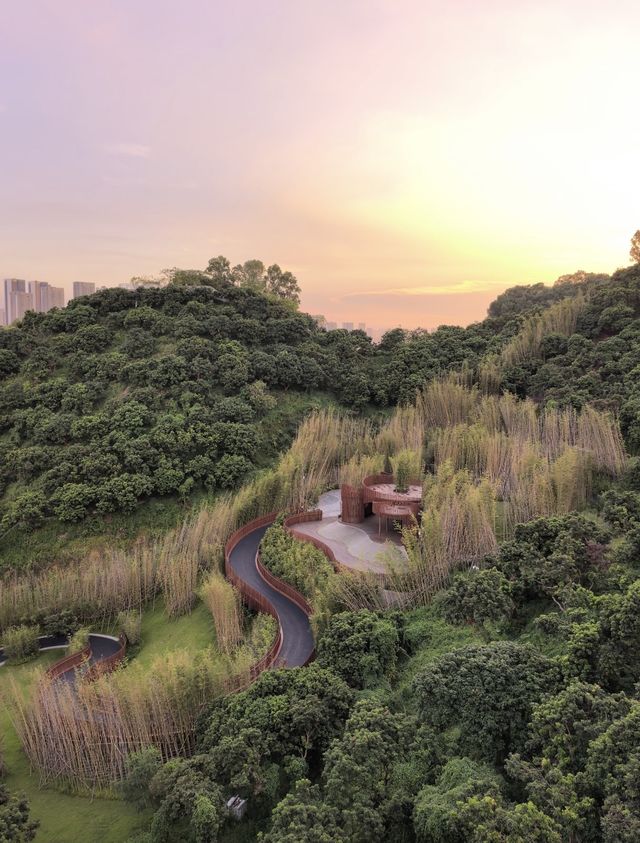 深圳私藏天空之鏡,99%人不知道 深圳私藏天空之鏡,99%人不知道