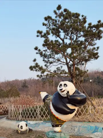 Лесной парк Фушань в Циндао | Зеленая сказка в городе