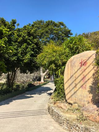 梅竹の故郷、詩情あふれる東明