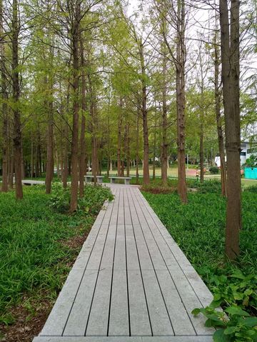 免費且24h開放!上海小眾江景公園,騎行觀鳥太絕了 免費且24h開放!上海小眾江景公園,騎行觀鳥太絕了