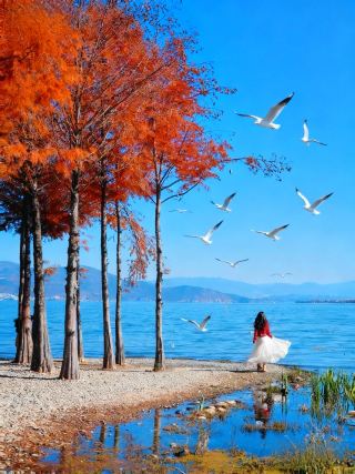 水杉の下の海と空の一線