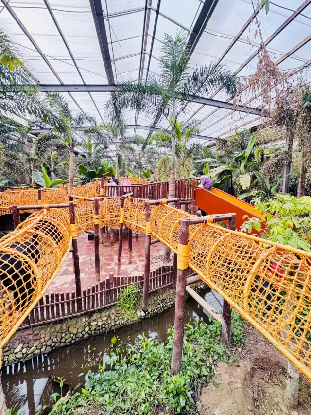 北京遛娃天花板｜呀路古熱帶植物園，娃玩到不想走