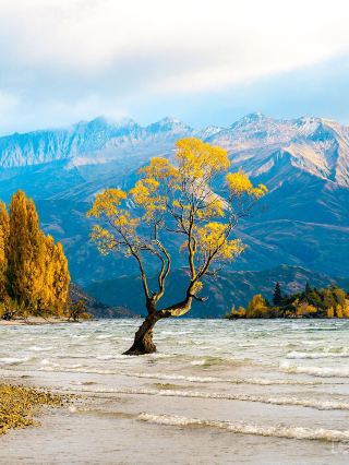 Поторопитесь и остановитесь в Австралии! Безвизовые прямые рейсы в Новую Зеландию для 5-дневного приключения на Южном острове.