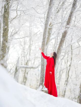 บันทึกฉบับสมบูรณ์ของการถ่ายทำภาพยนตร์แอนิเมชั่นเรื่อง Mr. Mickey's Frozen ที่ภูเขาฮูโมตัน ซึ่งราวกับอยู่ในความฝัน