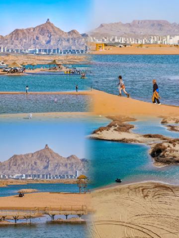 Half Sea Half Desert