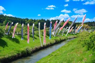 The Saimata Bridge Koinobori Season, Hundreds of Flags Flying to Wish for Growth