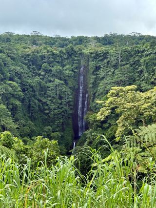Samoa Island Circle Self-Drive Tour｜Complete Guide to Stunning Natural Attractions