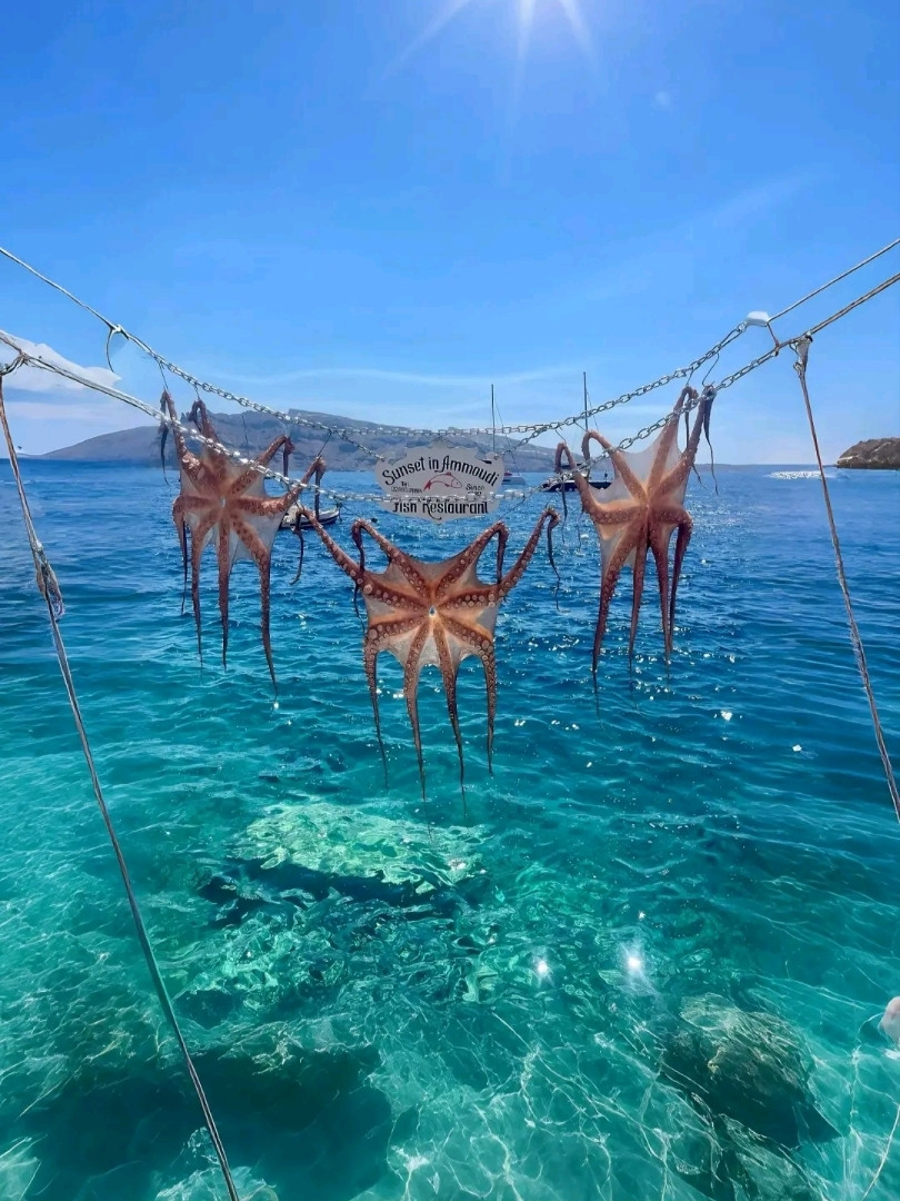 ギリシャ、地中海が抱く神話の中のあの場所。 | Trip.com ギリシャ