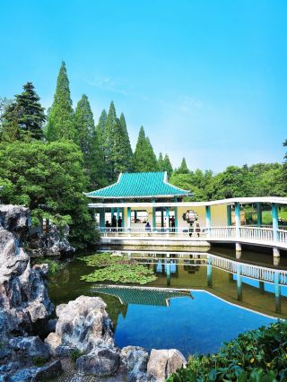 Hefei Xiaoyaojin Peony Pavilion｜Hidden Jiangnan Charm in the Bustling City