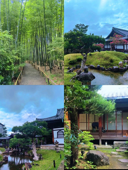 Explore Japan in 6 days for just 4k per person—an unbeatable deal