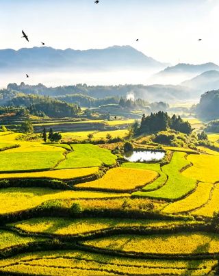 Huangshan QuPai Inn: A Premium Boutique Stay for Hiking, Photography, and Family Vacations