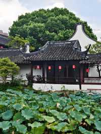 《一池慕白存雅韻 雲間古園醉千年》