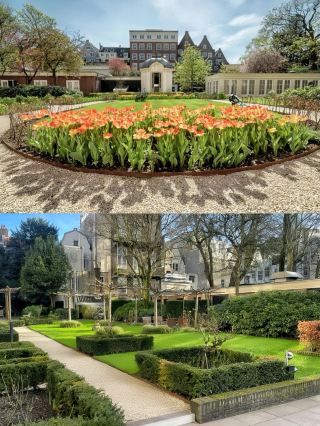 Waldorf Astoria Amsterdam: An elegant dream by the canal