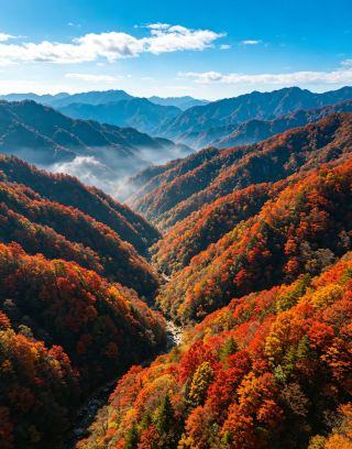 Hidden Autumn Splendor in Qinba Mountains! A Deep Dive into Guangwu Mountain's Red Leaf Adventure