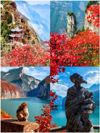 川西は諦めて!重慶にあるこの紅葉の穴場、10月〜11月は息をのむ美しさ