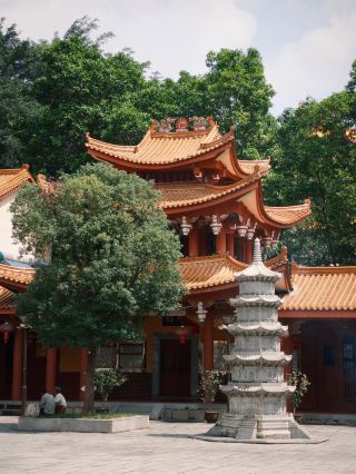 🌲Strolling through Tong'an | They say Xiamen's history lies in Tong'an📍