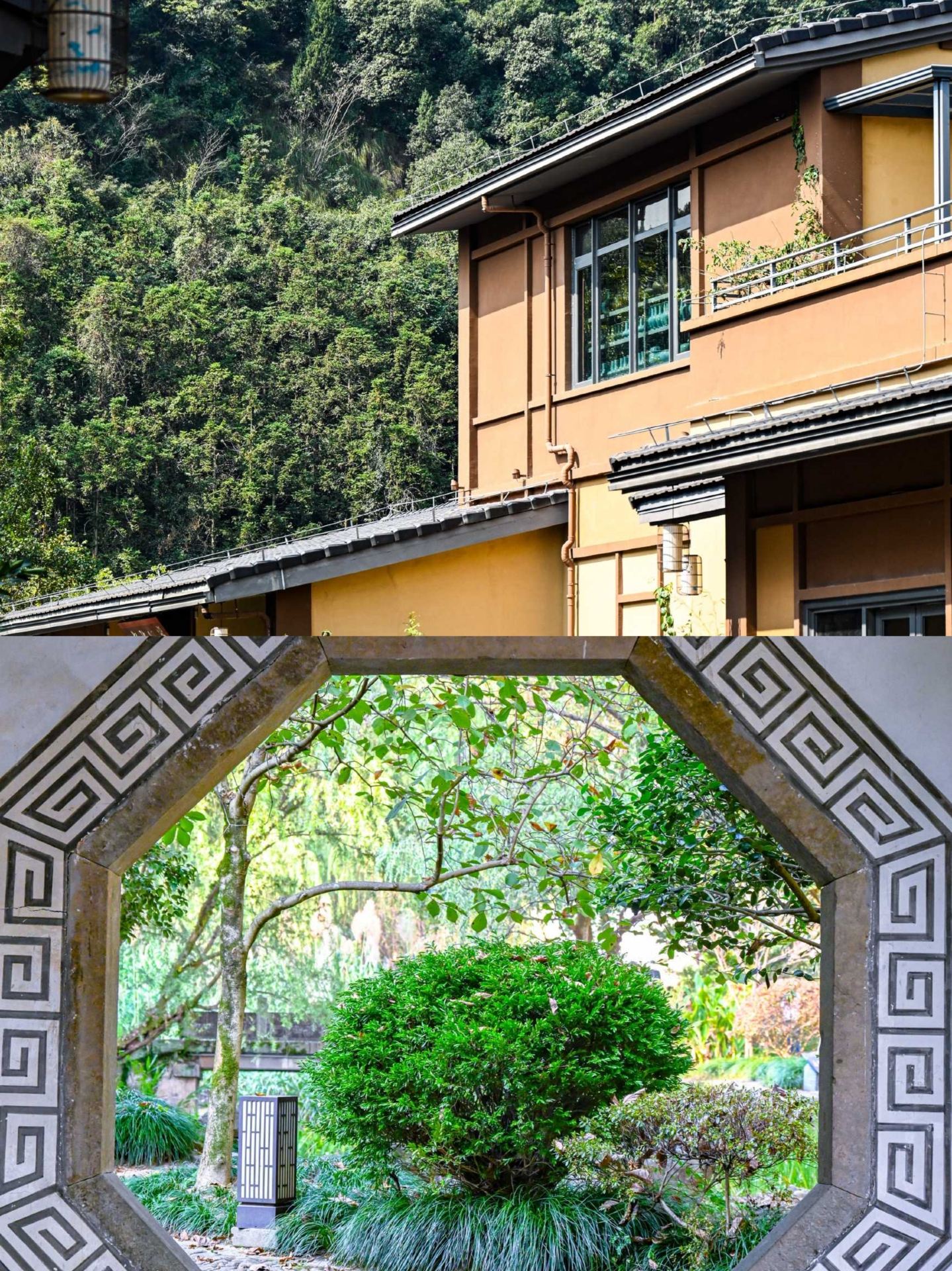 攜寵度假，武義開元觀堂山野秘境。