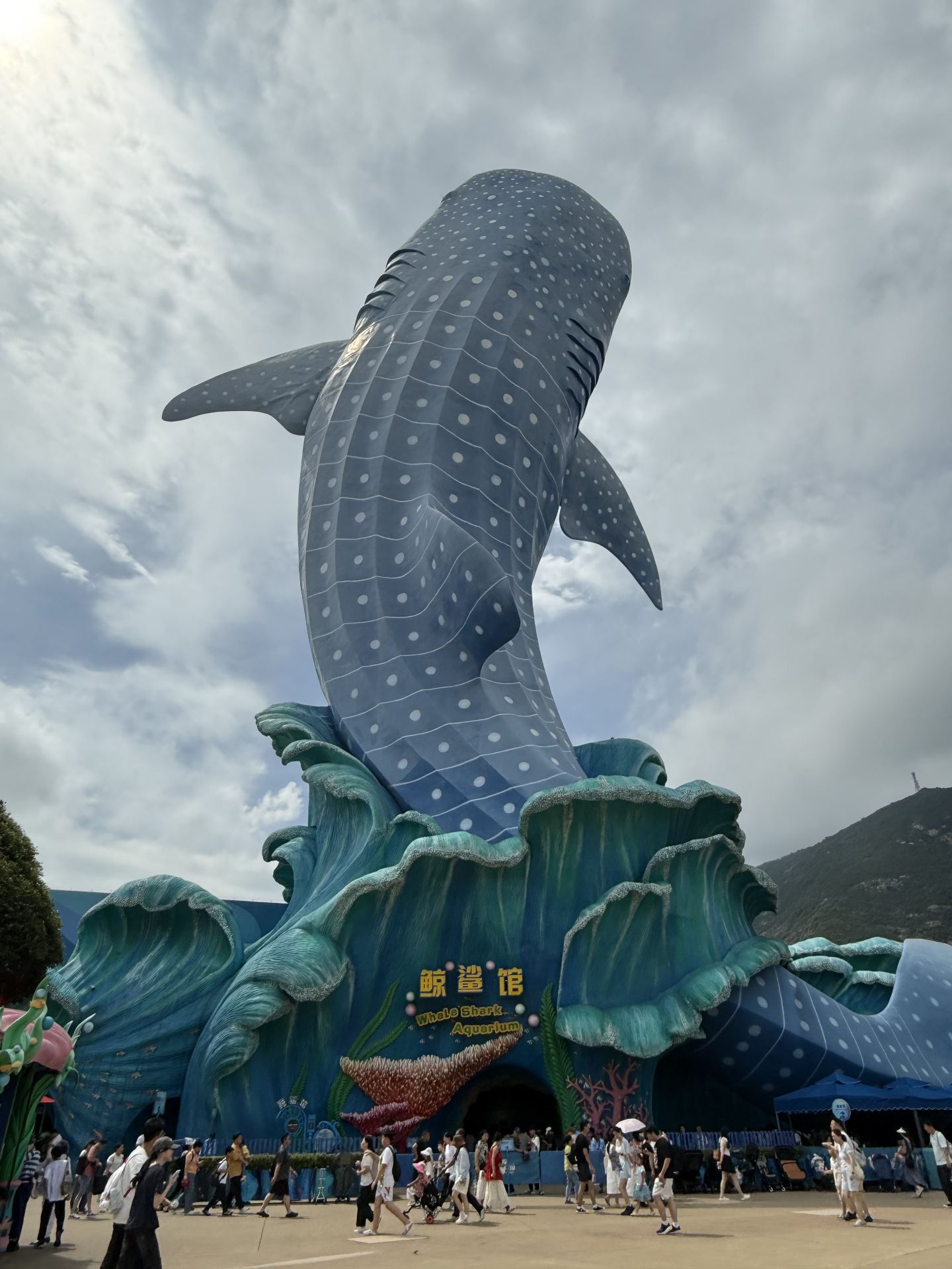 Came to Chimelong Ocean Kingdom in Zhuhai for National Day to see the giant whale shark; it was truly breathtaking 🐟