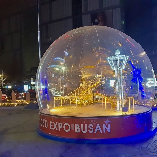 부산 남포 겨울빛 트리축제 ❣️
