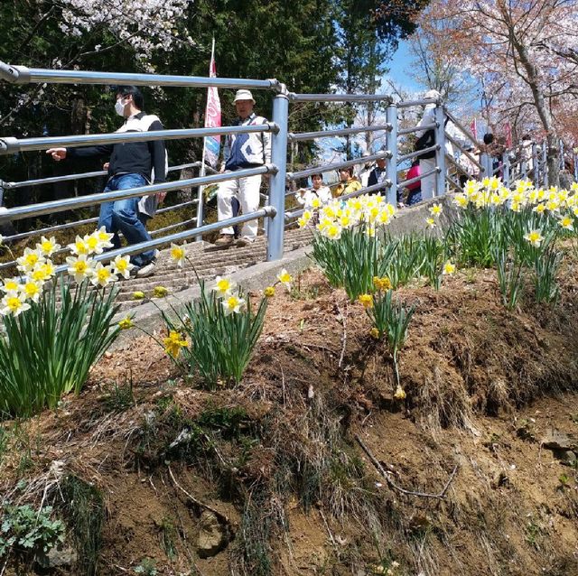 朝聖富士山第一景 新倉山淺間公園(part2)