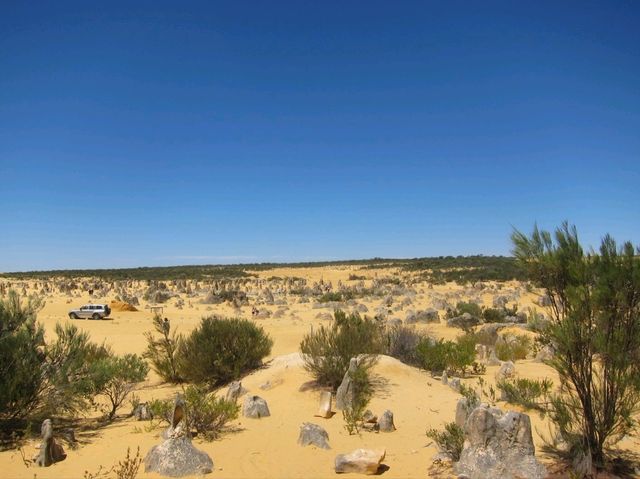 ❤️discover the Pinnacles desert discovery❤️