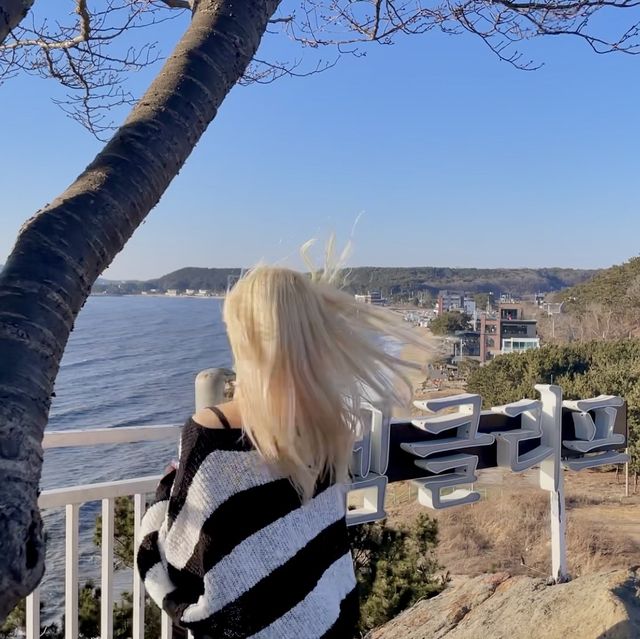어디에 있든 인생샷을 건질 수 있는 엠클리프 카페✨