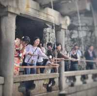 Japan | Kyoto 1 Day trip
