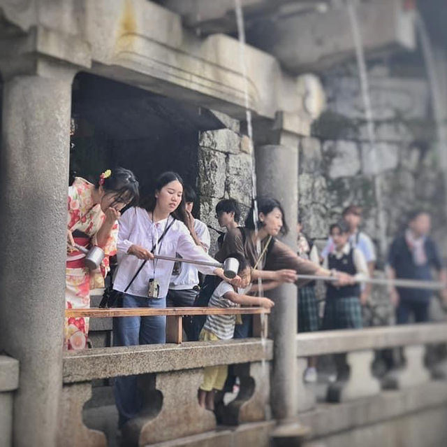 Japan | Kyoto 1 Day trip