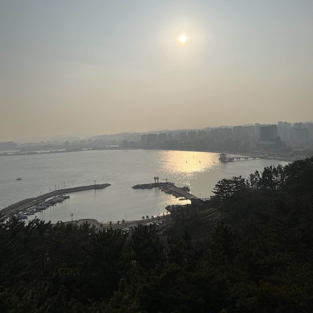걸어다니는 롤러코스터가 있는곳🎢