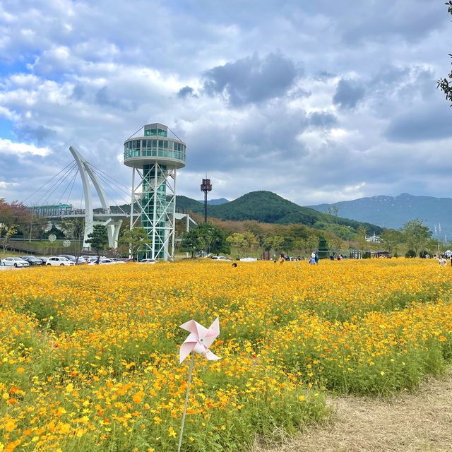 양산 인생샷 명소 황산공원 너무 예뻐 ♥ 꽃 천국!