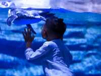 Aquaria Phuket อความเรียมยืนหนึ่งในภูเก็ต