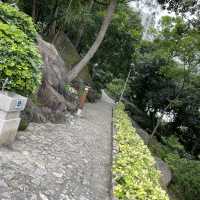 Montanha Russa Park Nature 