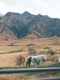 日本九州 | 草千里 廣闊大草原🐎 看阿蘇火山🌋