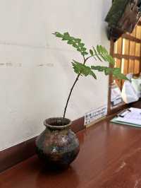 山梨県の名店「翁」で贅沢なひとときを