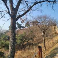 충남 공주를 대표하는 관광지 공산성