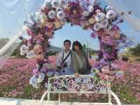  สวนดอกไม้กลางหุบเขา ในถิ่นอีสาน