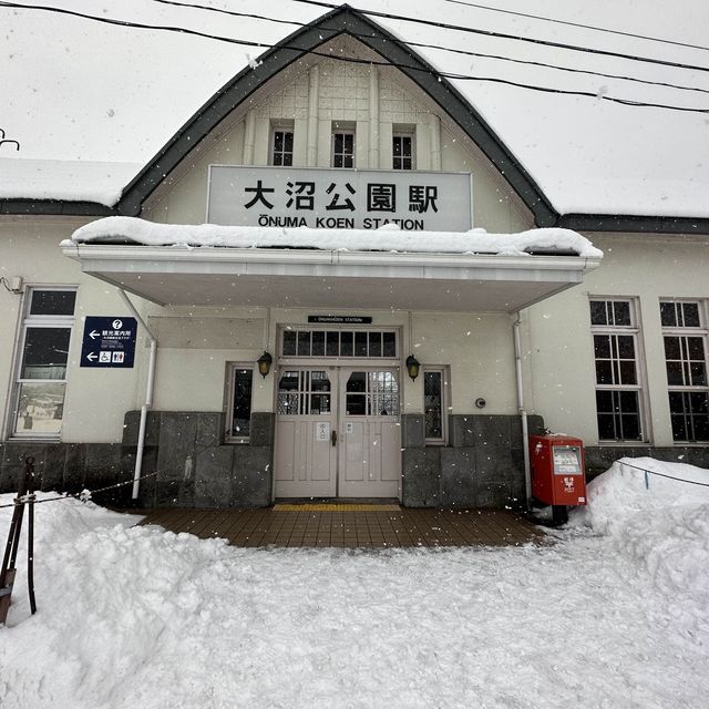 【北海道】白銀の中！冬の大沼公園