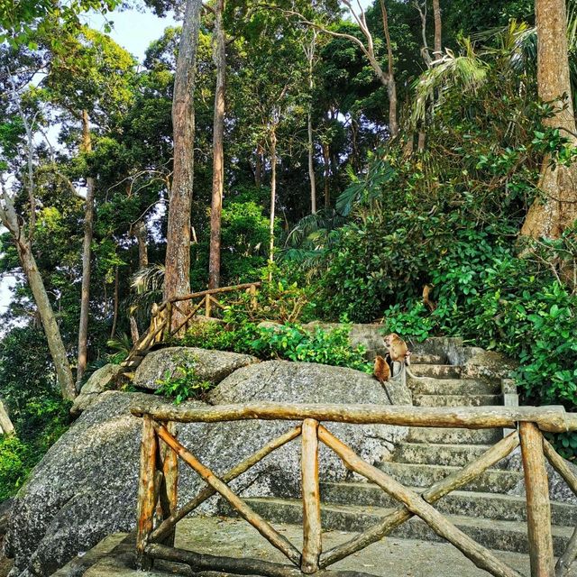 A laid-back nature getaway! 🍃