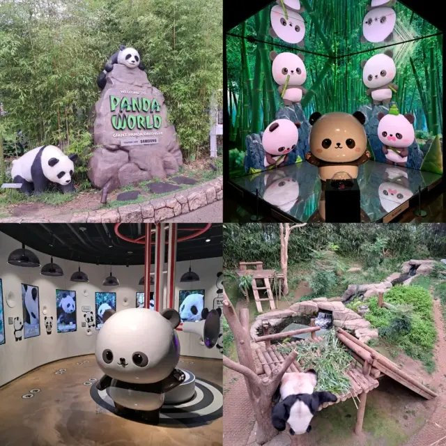 韓國🇰🇷愛寶樂園Everland😍參觀可愛熊貓館🐼